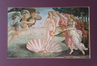 Botticelli (1444-1510)